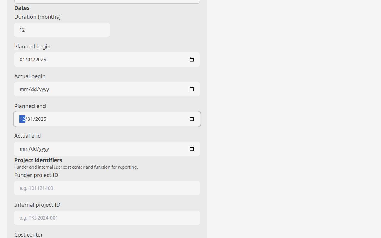 Screenshot: New project form